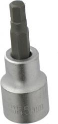 Werkstatt & Lagerung VAR 5MM SECHSKANT-BIT-EINSATZ 3/8 FÜR DREHMOMENTSCHLÜSSEL