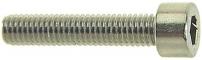 Werkstatt & Lagerung BACH INNENSECHSKANTSCHR. NIRO,M6X30,PACK.A 25 ST.