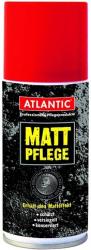 Werkstatt & Lagerung ATLANTIC MATT-PFLEGE 150 ML SPRAYDOSE