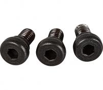 Shimano  P-Cover Screw Set (3 pcs.) A
