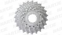 Werkstatt & Lagerung MICHE SHIMANO 10 FACH KASSETTE 14-23 Z.