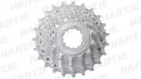Werkstatt & Lagerung MICHE SHIMANO 10 FACH KASSETTE 12-23 Z.