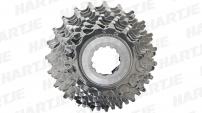 Werkstatt & Lagerung MICHE CAMPAGNOLO 10 FACH KASSETTE 14-23 Z.