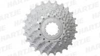 Werkstatt & Lagerung MICHE SHIMANO 10 FACH KASSETTE 14-25 Z.