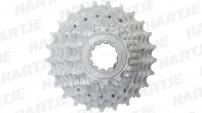 Werkstatt & Lagerung MICHE SHIMANO 10 FACH KASSETTE 12-25 Z.