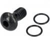 Shimano  Banjo Bolt & O-Ring A A
