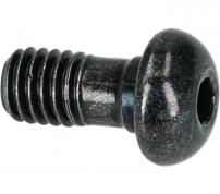 Shimano  Banjo Bolt A A
