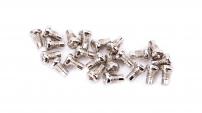 Anbauteile CT ERSATZPINS F. PEDAL SPIKE 22 STK. F.1 SILBER