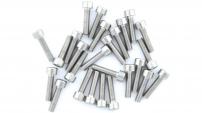 Werkstatt & Lagerung BACH INNENSECHSKANTSCHR. NIRO,M5X20,PACK.A 25 ST.