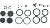 Sram  DISC BRAKE CALIPER PISTON KIT - (INCLUDES 2-16MM &2-14MM CALIPER PISTONS, SEALS & O-RINGS) - GUIDE R, RS, RSC(A1-B1), G2 RSC/ ULT (A1)/G2 R/RS (A1)
