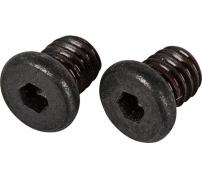 Lever Slide Fixing Bolt (2 pcs.) A
