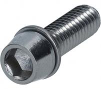 Clamp Screw with Washer (M6 x 19)