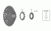 Shimano CS Cassette / Zahnkranz Ersatzteile CS-HG210-7