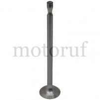 Classic Parts Auslassventil