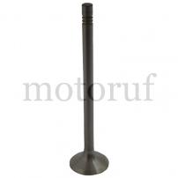 Classic Parts Einlassventil