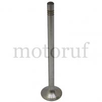 Classic Parts Auslassventil