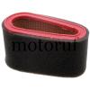 Garten und Forst Filter Luftfilter Gartengeräte Ersatzteile Castelgarden und GGP-Motoren