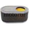 Garten und Forst Filter Luftfilter Gartengeräte Ersatzteile MTD