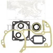 Garten und Forst Motordichtsatz