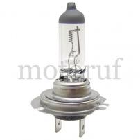 Landtechnik Halogenlampe H7