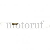 Garten und Forst Feder