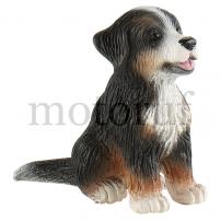 Spielzeug Berner Sennenhund Welpe Joy
