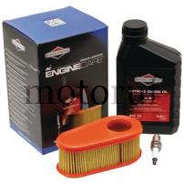 Garten und Forst Wartungs-Kit