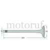 Classic Parts Motorenteile Oldtimer-Teile Motortyp: ED1