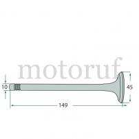 Classic Parts Einlass-Auslassventil