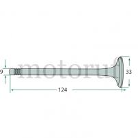 Classic Parts Einlass-Auslass-Ventil