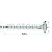 Classic Parts Einlassventil