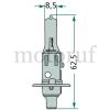 Landtechnik Halogenlampe H1