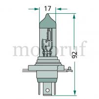 Landtechnik Halogenlampe H4