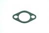 Garten BRIGGS & STRATTON <b>BRIGGS & STRATTON</b> Schalldämpfer-Dichtungen