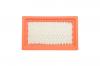Sonderangebote Luftfilter kpl. (mit Vorfilter) MTD Thorx (1P65) - NEVADA