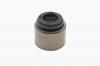 Sonderangebote Dichtung Ansaugventil Briggs & Stratton - OHV Motoren Modell - AVS, 21, 31, 33 (ORIGINAL)