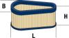 Garten Filter Luft p.f.Tecnamotor