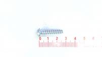 PT-SCHR.K50X25-WN1451-TORX