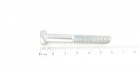 Wolf-Garten HRUNDSCHR. M8X55-DIN607-4.6ZN