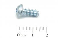Schneidschraube P5x12