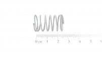 DRUCKFEDER:0.63 x 1.00