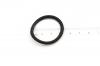AL-KO O-RING