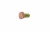 Edena 6KT-SCHR:5/16-18 x.625:GR5:STD