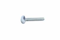Ranger FL-RD-SCHR:M5x40 DIN 603-4.8