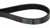 Stiga Belt