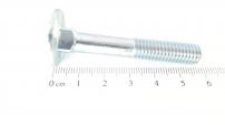 FL-RUNDSCHR:M8X50 DIN 603-4.6