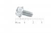 Grey-Line 6KT-SCHR:TT:1/4-20:0.500:HXIND