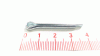 Floraself SPLINT:1/8 x 1.0"