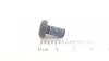 Bauhaus FLK.SCHR. 1/4-20X.50