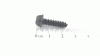 Poulan / Weed Eater SCHRAUBE